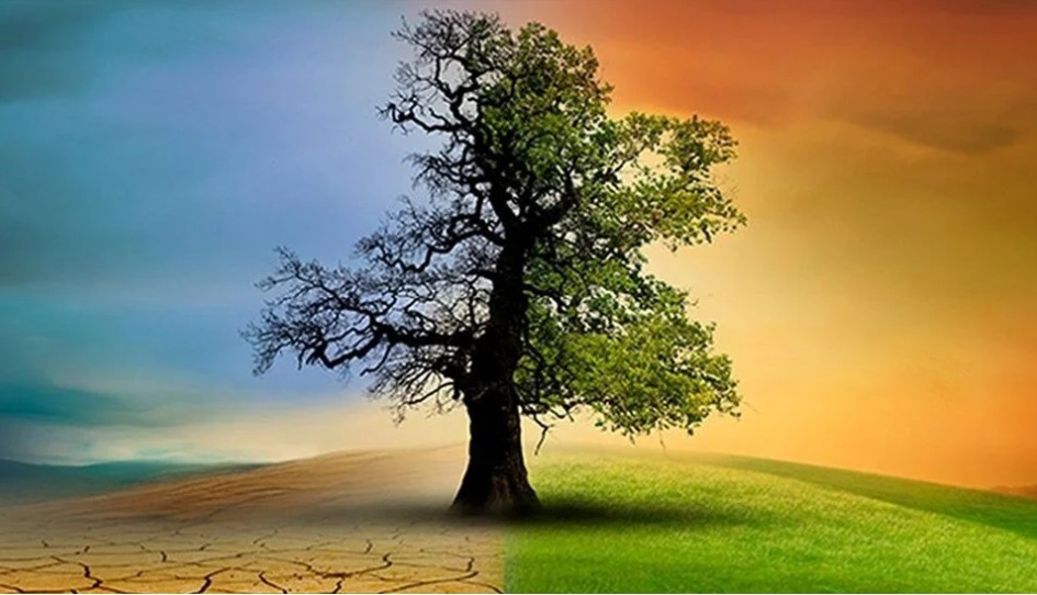 Emlak Piyasası Nasıl Dönüşecek?